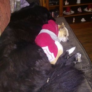 Meet your Posher, Teri